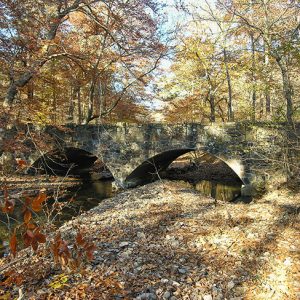 Side view of stone arch bridge over stream under autumn trees