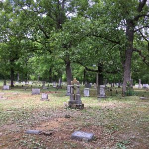 Gravestones in cemetery with trees in the background