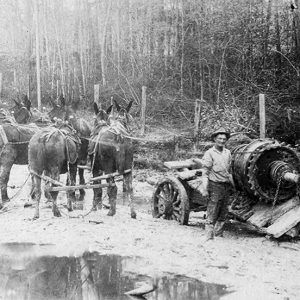 White man standing next to broken mule-drawn wagon with machinery on it on muddy road