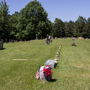 Rows of gravestones in cemetery with trees in the background