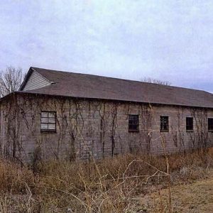 Vines growing on rear wall of cement block building with gabled roof on tall grass