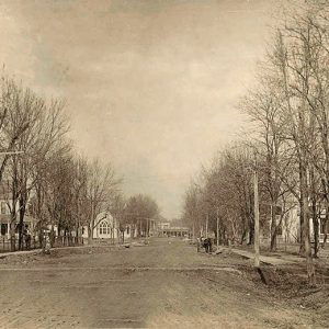 Looking down residential street with multistory houses and trees on both sides