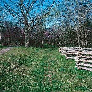 Former road through forested area with wooden fence on the right