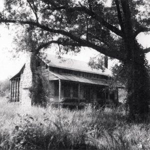 Wood cabin with brick chimneys under a large tree