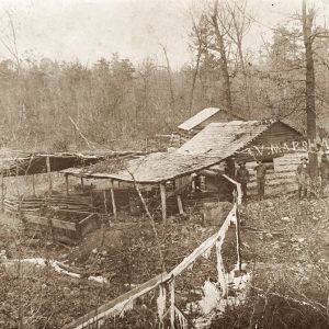 Four men and horse standing beside log cabin