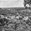 View overlooking town buildings and trees