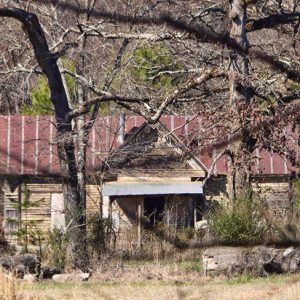 Abandoned single-story house with rusted metal roof in wooded area