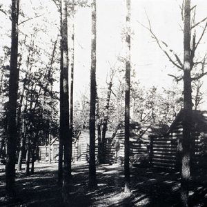 Row of log cabins in forested area