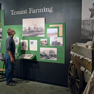 White man looking at "Tenant Farming" exhibit with panels and photographs on a wall