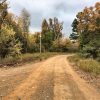 Dirt road intersection with trees and power line in background