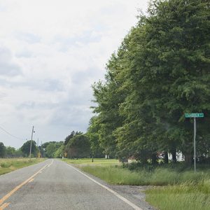 Two-lane road with trees on the right and brick building in the background