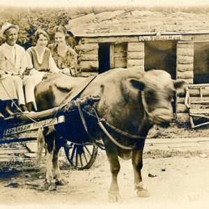 White man in suit and hat with three white women smiling on cart pulled by cow outside log cabin