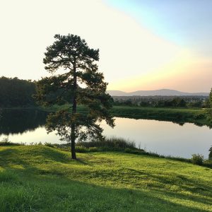 Trees and pond with mountains in the background