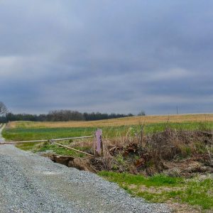 Gravel road across field with gate