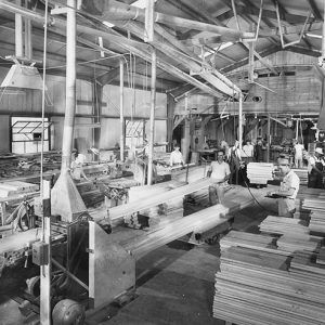 White men working in wood factory warehouse