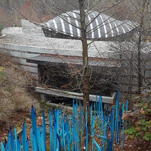 Grouping of blue reeds in the ground outside modern museum building with rounded roof in forested area