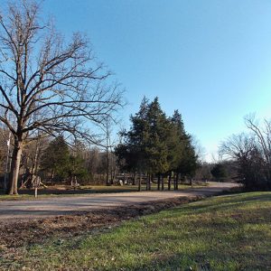 Rural road with trees in the background