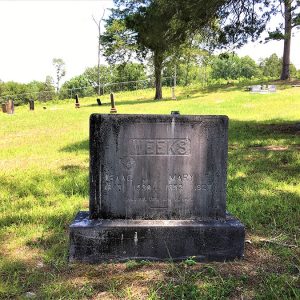 "Weeks" headstone with engraving and Masonic symbol in cemetery