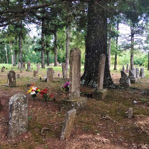 Weathered gravestones in cemetery with flowers in foreground and trees