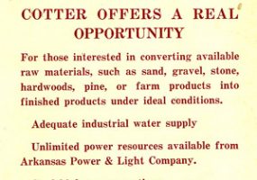 "Cotter offers a real opportunity" advertisement with red text