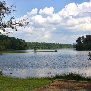 View looking across lake with tree covered shorelines taken from campsite