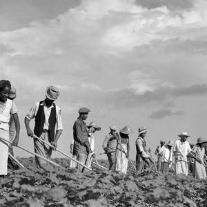 African-American workers with implements working in field