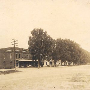 Multistory buildings and other structures street with line of trees in front of them