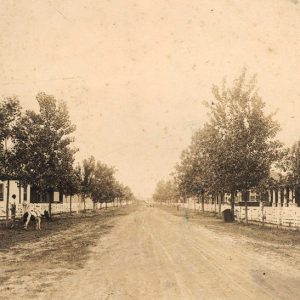 Looking down residential street with trees and houses on both sides