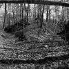 Man made valley between two mounds of earth covered in trees