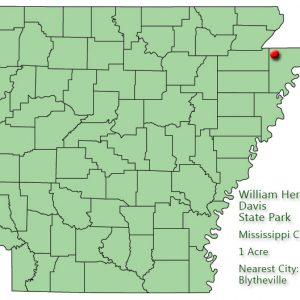 Map of Arkansas with red dot in Mississippi County and explanation in green text