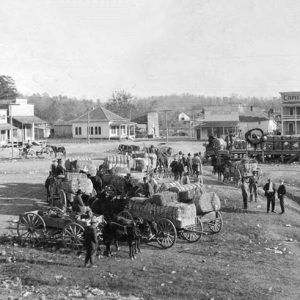 Men with horse drawn wagons loaded with cotton in town with dirt roads and buildings in the background