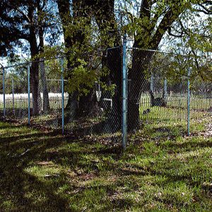 Trees and gravestones inside fence with barbed wire