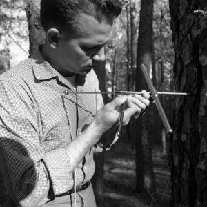 White man drilling into tree with small metal device