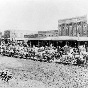 Wagons loaded with cotton crowding dirt road that runs in front of several buildings