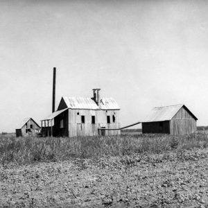 Three barn-like building, wood framed with connecting pipes and chimneys with farm field in foreground