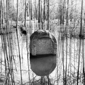 Stone marker with text situated in swamp