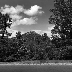 Hilltop viewed from field through trees with clouds