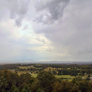 elevated view of fields and trees