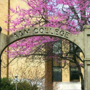 A&M College concrete arch in front of tree and building