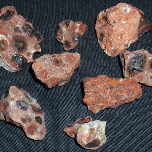 Eight rocks with various sized discolored dot impressions  photographed on dark fabric