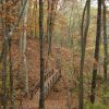 Wooden walkway bridge with railings on trail through wooded area under autumn trees