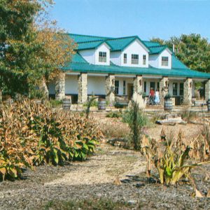 Plants and tree in garden with multistory building with covered porch in the background