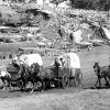 White men racing covered wagons with crowds of spectators in background