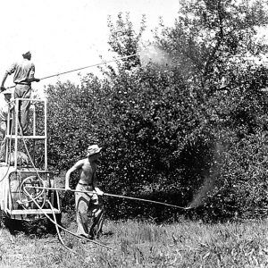 man standing on machine and shirtless white man on the ground spraying insecticide on trees