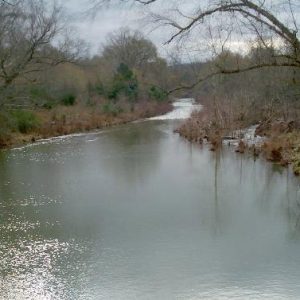 Rippling water in river running through wooded area