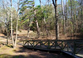 paved trail through trees