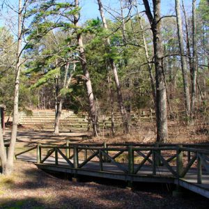 paved trail through trees