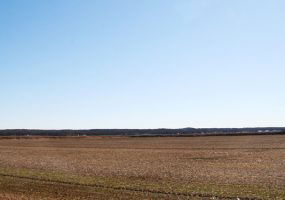 empty field