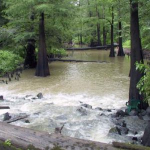 Fallen trees and rocks with water rushing over them in river with green foliage