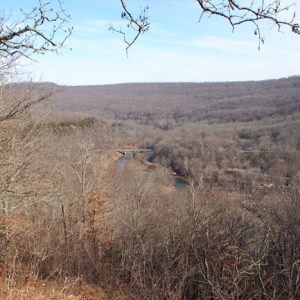 elevated view of river valley with bridge in the distance